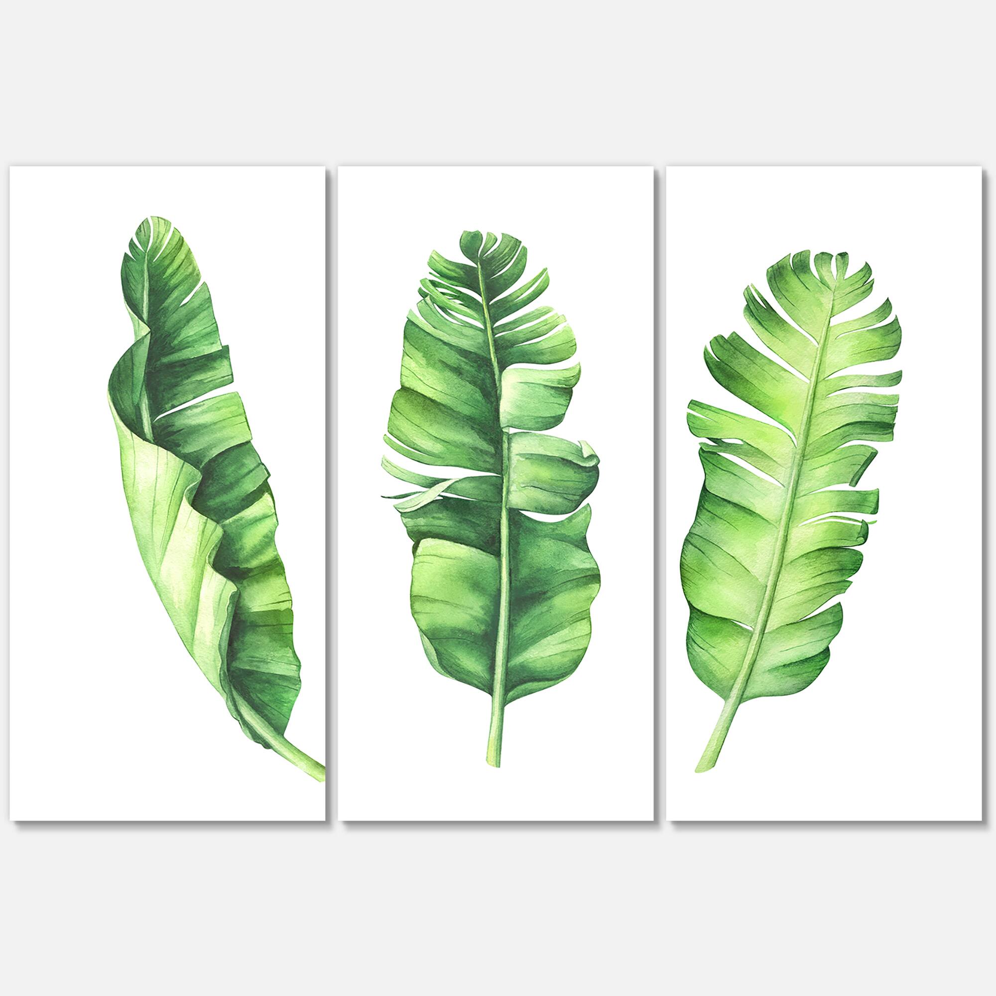 Designart - Tropical Banana Leaves Set
